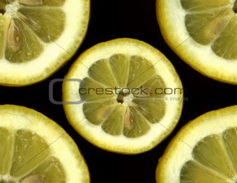 Lemon Slice.
