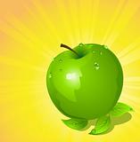 Green apple, vector illustration 