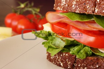 Ham, cheese, tomato, salat sandwich