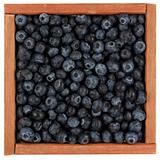 blueberries in wooden box