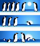 Penguins, winter in Arctic