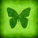 spring background with butterfly illustration