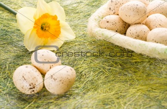 Daffodil and basket with easter eggs