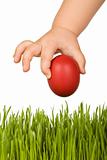 Child hand with red easter egg over green grass
