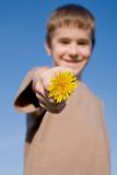 Boy Holding a Dandelion with Big Smile