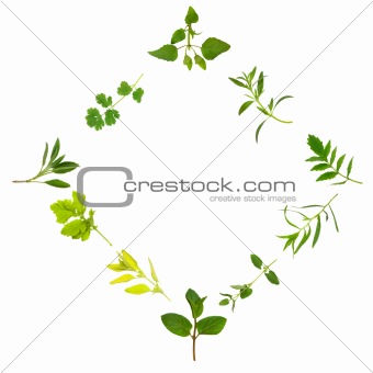 Herb Leaf Variety