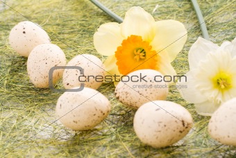 Daffodil and easter eggs