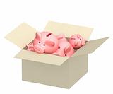 Piggy banks in box 