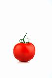 Single Tomato on White