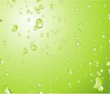 Green water drops Background