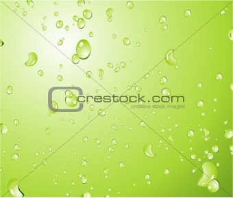 Green water drops Background