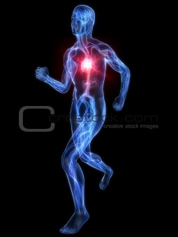 jogger - vascular system