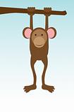 Single monkey