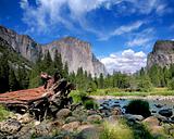 El Capitan View in Yosemite Nation Park
