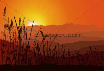 Beautiful sunset over mountains with grass silhouette / vector