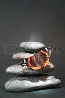 Pebblesand Butterfly