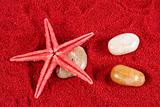 Starfish and stones on the red sand