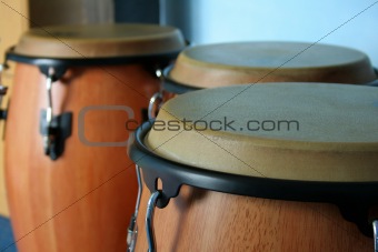 three old bongos