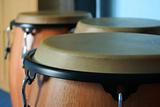 three old bongos