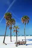 Beach Scene with Palms