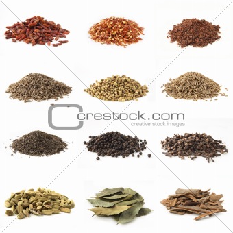 piles of various kinds of spices on white