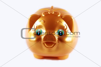 Gold pig