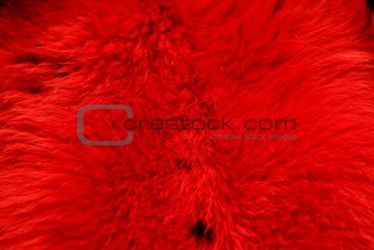 Red Fur Texture