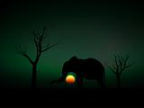Elephant Sunrise 106