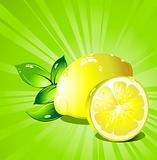 Lemon  citrus fruit. Vector.