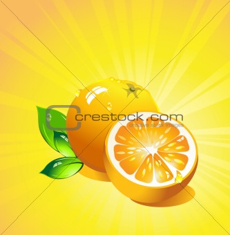 Orange citrus fruit. Vector