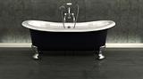 classic roll top bath and taps with shower attatchment in contemporary  interior