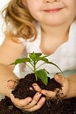 Little girl holding a young plant in soil - closeup