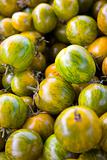 Pile of Yellow and Green Tomatoes