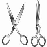 Scissors with stainless steel texture