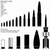 Military ammunition in vector