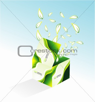 Environmental Box with Leaves