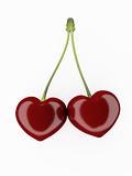 Two hearts of a cherry