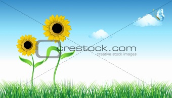 Sunflower on green field