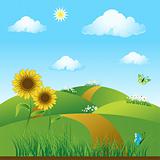Meadow green, summer, sunflowers and butterflies