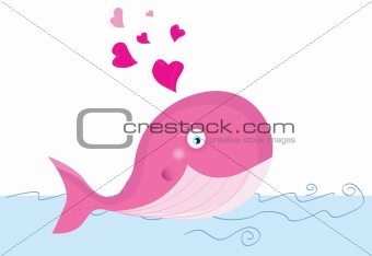 Whale in love