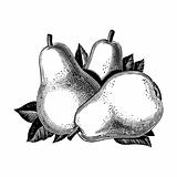 Vintage 1950s Pears