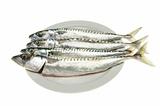 Four mackerel on plate