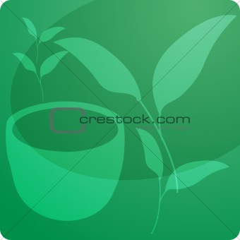 Green tea illustration