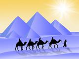 Camel travel
