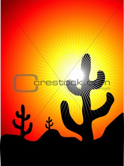 Mexican cactus landscape
