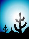 Mexican cactus landscape