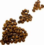 Vector coffee beans