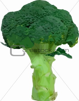 Vector broccoli