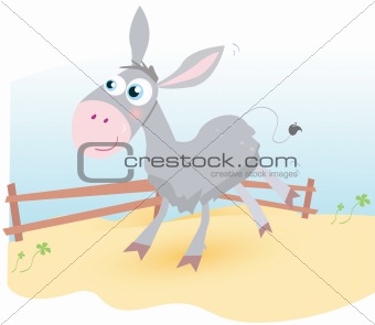 Donkey on farm