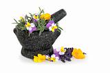 Lavender Herb and Viola Flowers